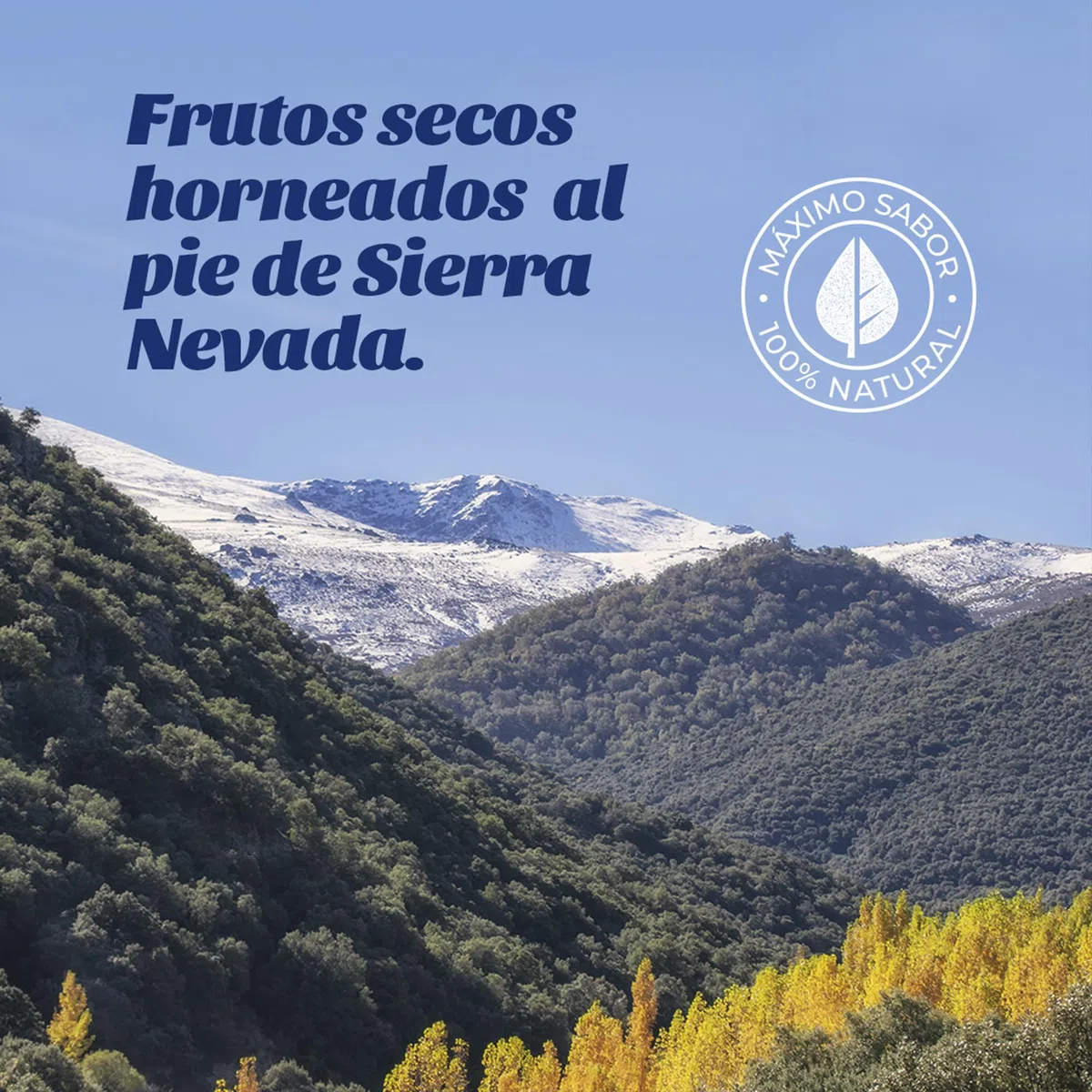 Mix Frutos Secos Almendras y Maíz Frito · El Elefante Rosa Tueste Artesanal · Bolsa 1Kg · Snack y Aperitivos