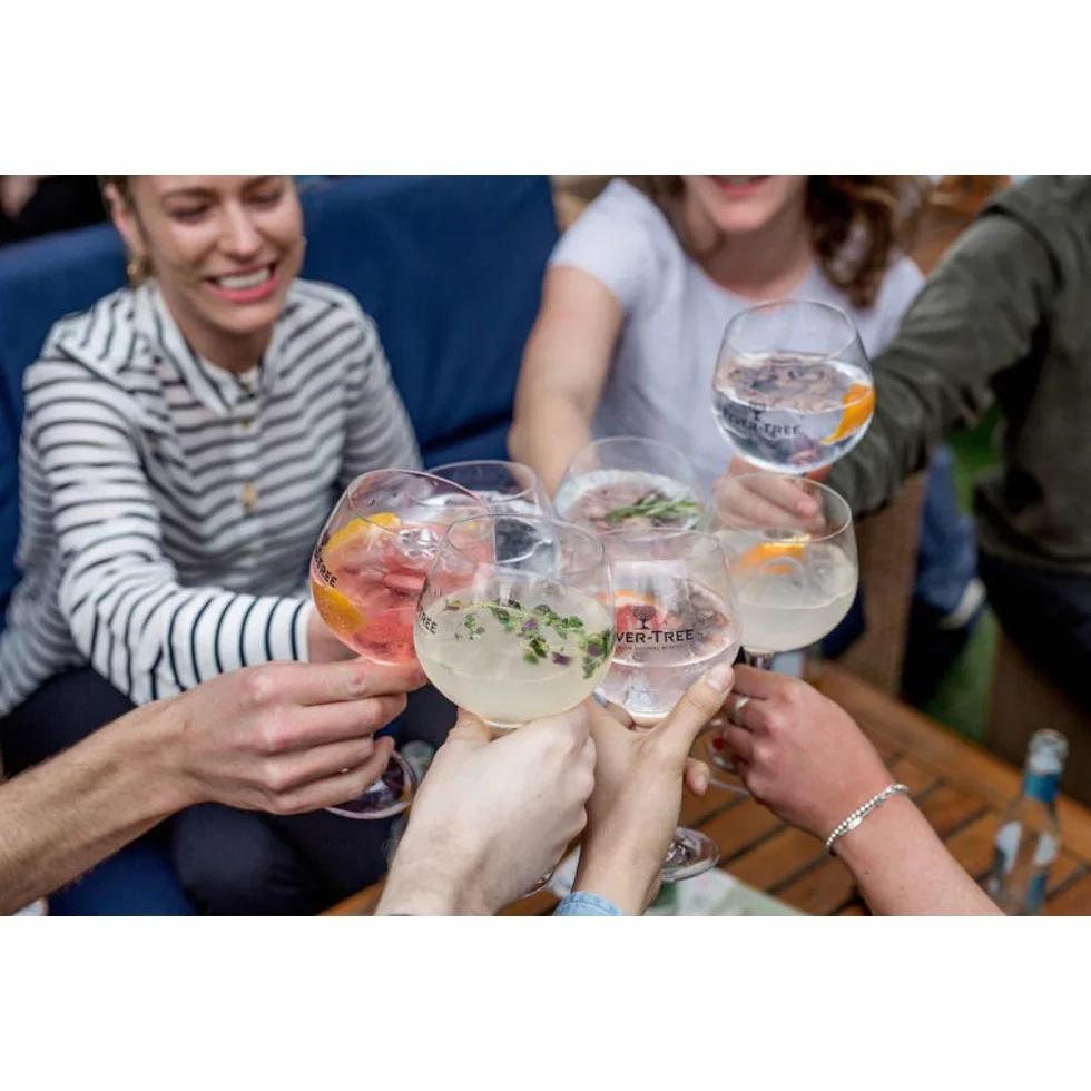 Fever-Tree Elderflower Tonic Water 24 x 200ml