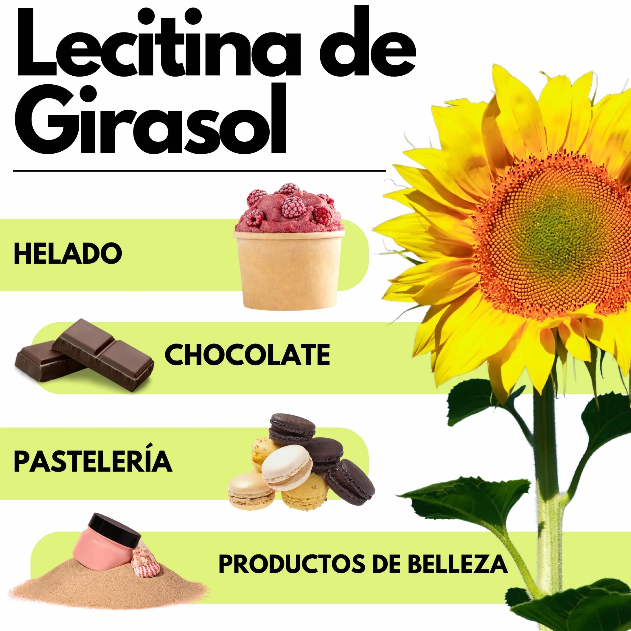 SaporePuro Lecitina de Girasol en Polvo 1000 g – Emulsionante Natural SIN GLUTEN