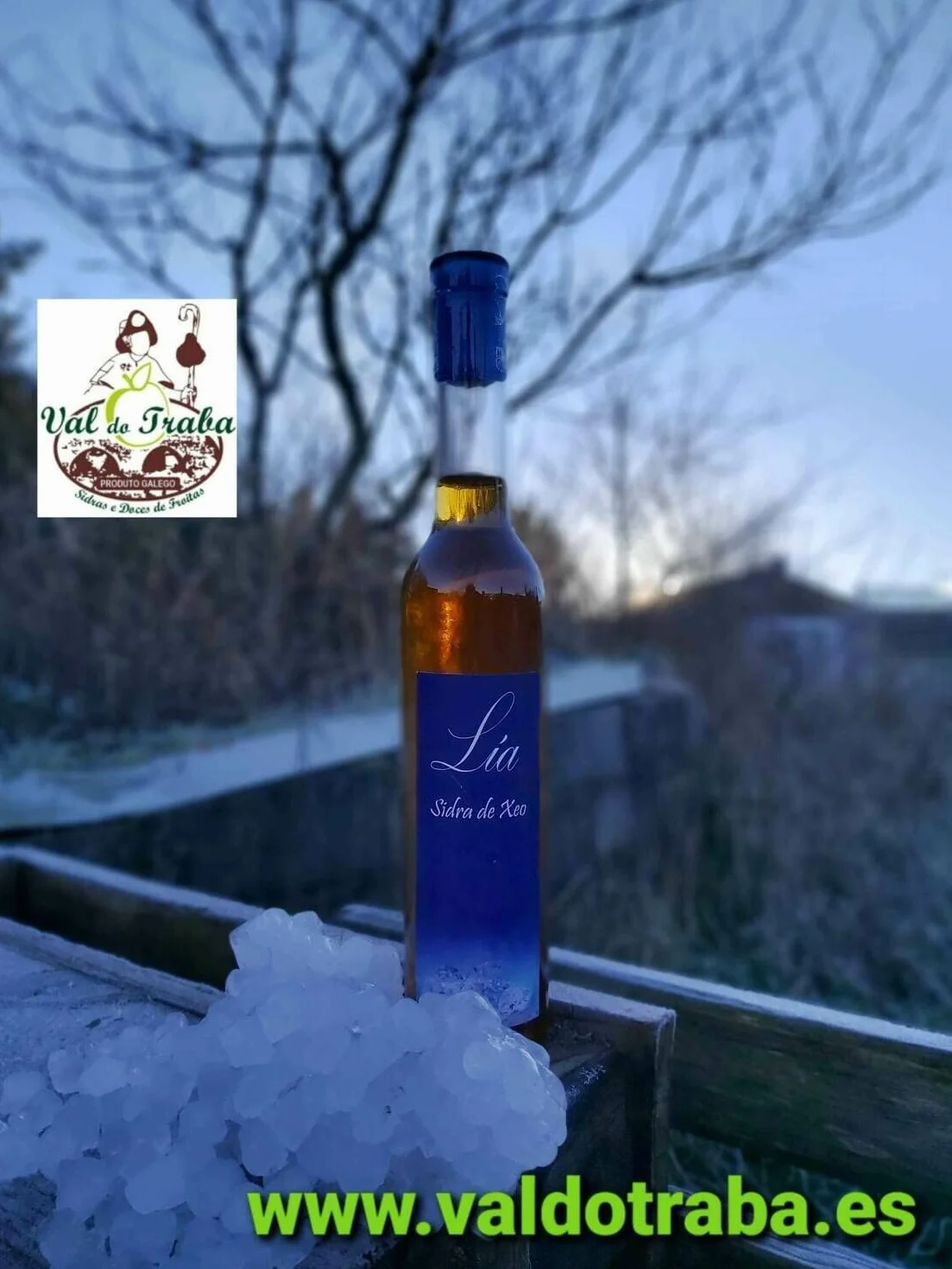 Sidra de Hielo Val do Traba 37.5 cl
