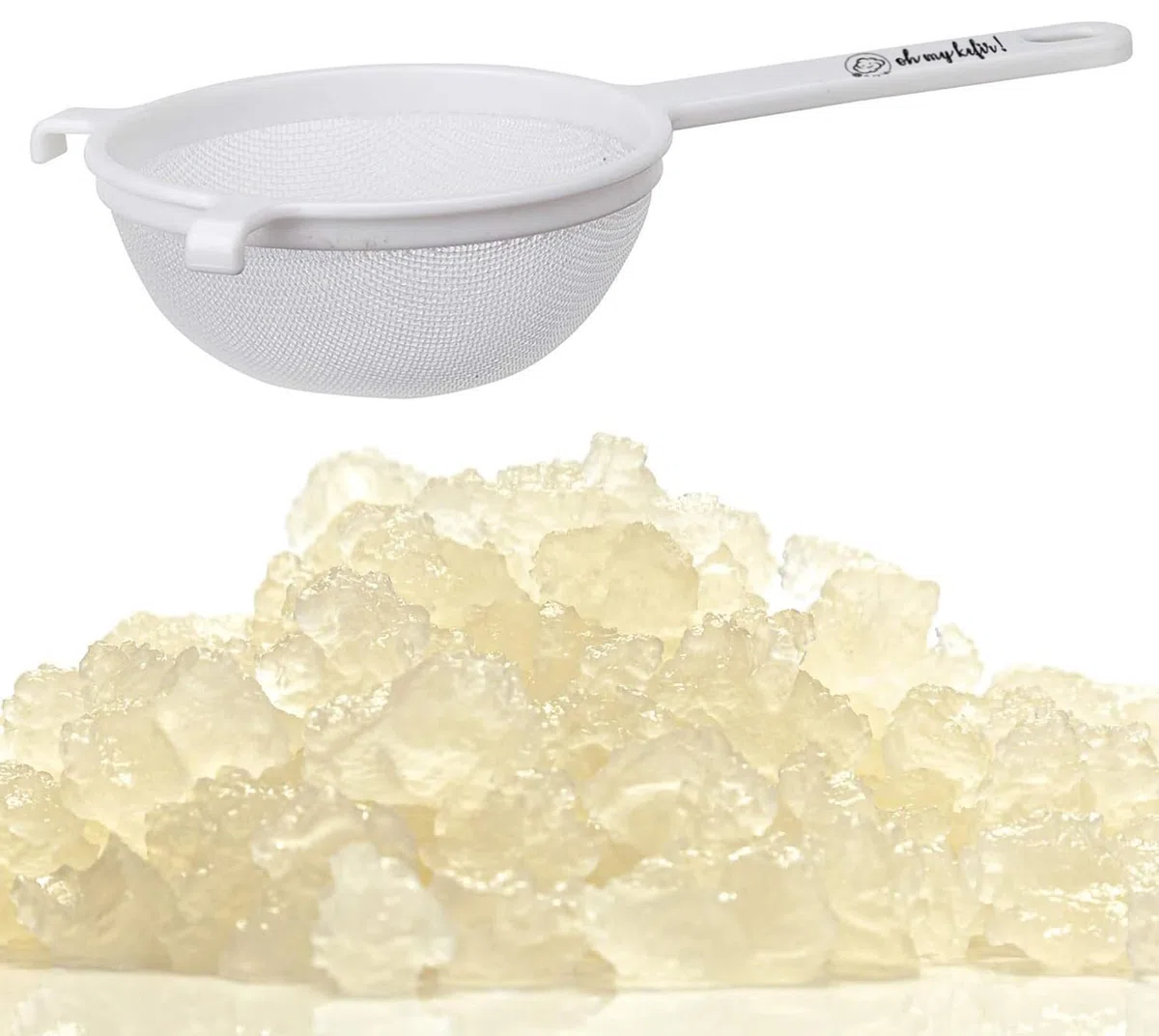 Pack Kefir de Agua: 50g de Nódulos Frescos + Colador 18 cm – Kit para Hacer Kéfir Casero - OH MY KÉFIR