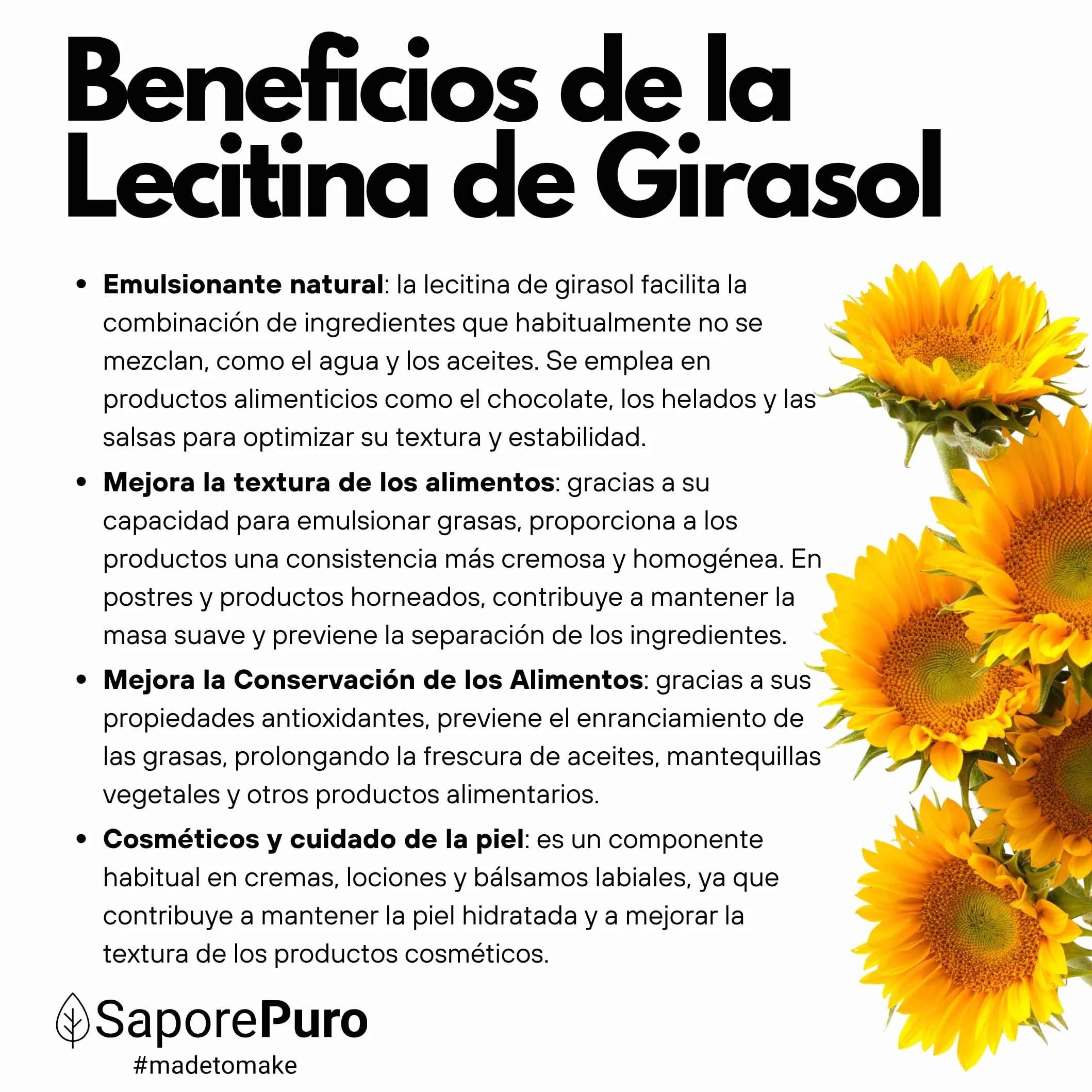 SaporePuro Lecitina de Girasol en Polvo 1000 g – Emulsionante Natural SIN GLUTEN