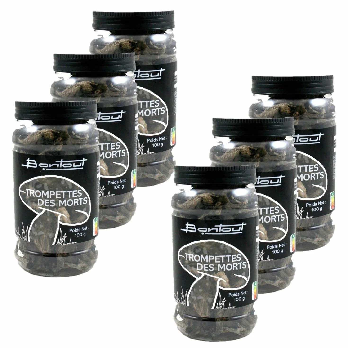 Lote de 6 trompetas – Maceta de 100 g